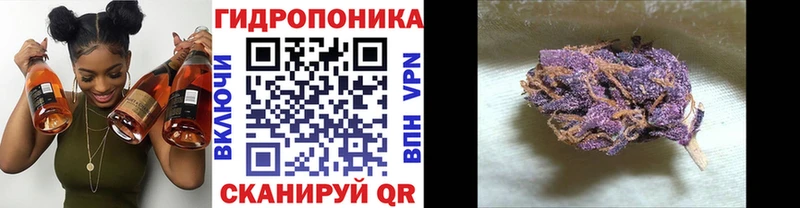 Купить закладку Alpha PVP  Метадон  МАРИХУАНА  Меф мяу мяу  АМФ  Курчалой