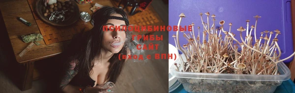 тгк Каменногорск