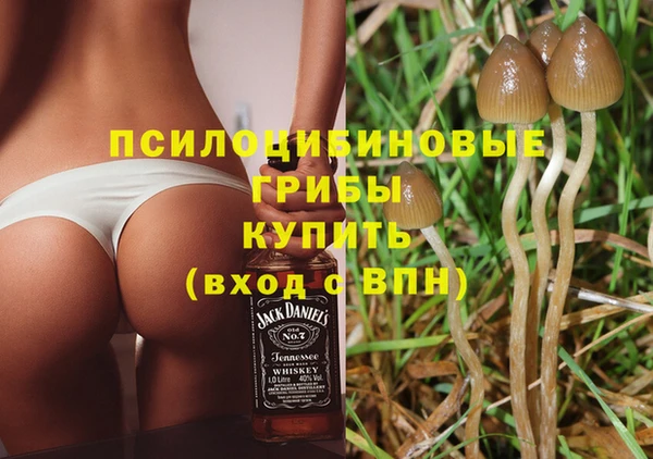 прущие грибы Каменск-Шахтинский