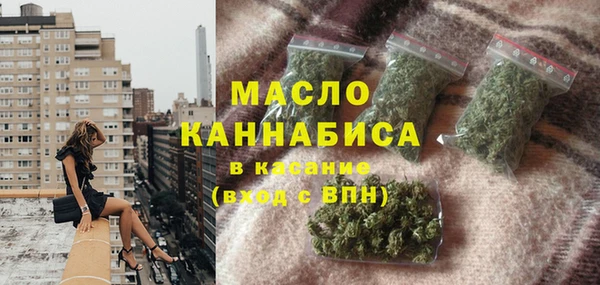 тгк Каменногорск