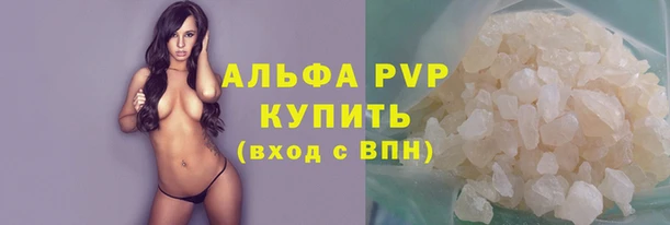 тгк Каменногорск
