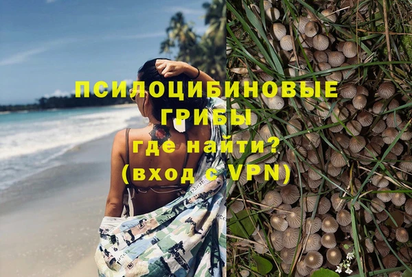 тгк Каменногорск