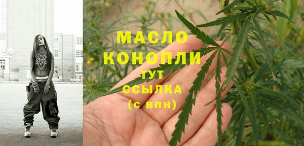 первитин Каменка