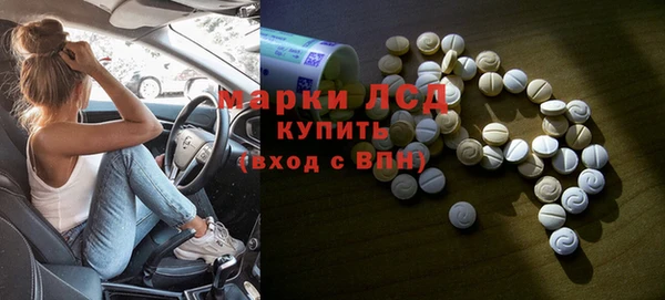 прущие грибы Каменск-Шахтинский