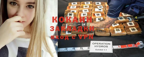 прущие грибы Каменск-Шахтинский