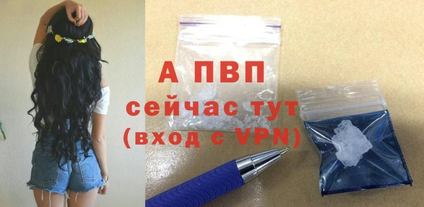тгк Каменногорск