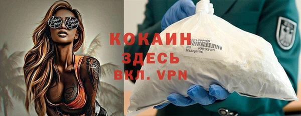 прущие грибы Каменск-Шахтинский
